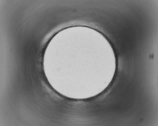 X0000113941502200910231933