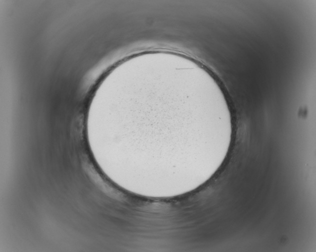 X0000113941503200910231933