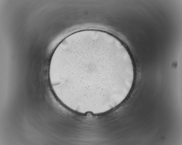 X0000113941504200910231933