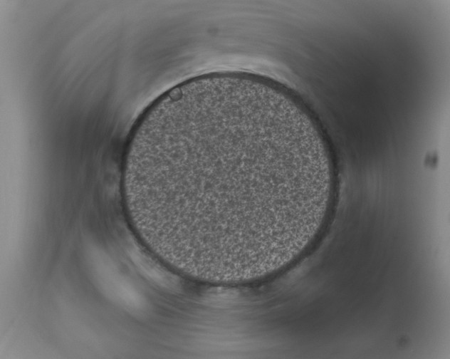 X0000113941505200910231933