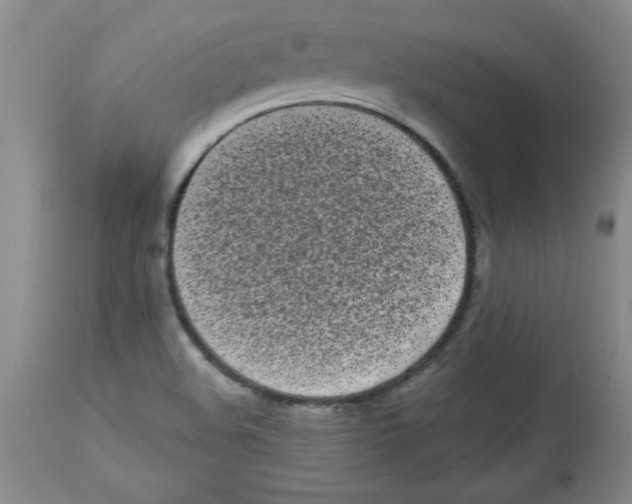 X0000113941508200910231933