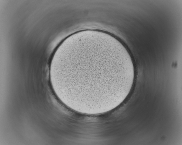 X0000113941509200910231933