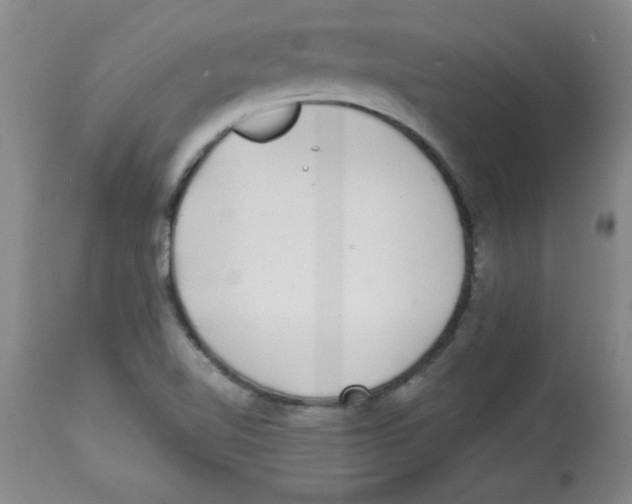 X0000113941510200910231933