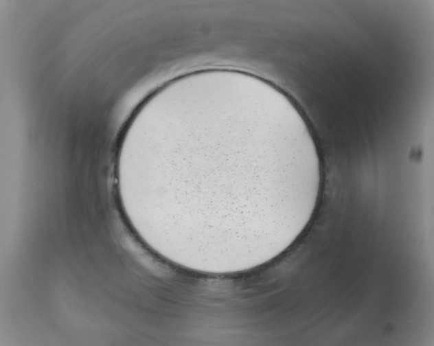 X0000113941511200910231933