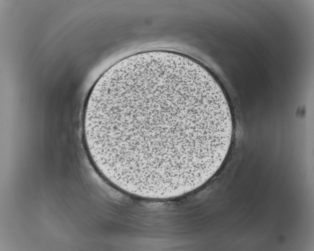 X0000113941512200910231933