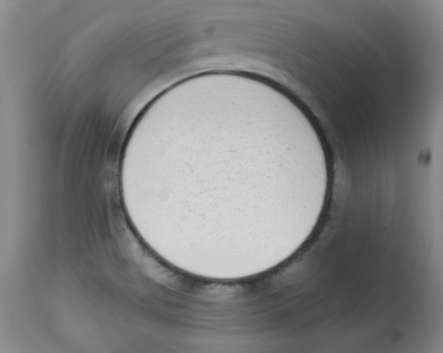 X0000113941513200910231933