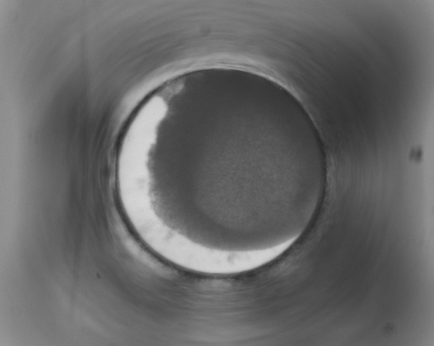 X0000113941515200910231933