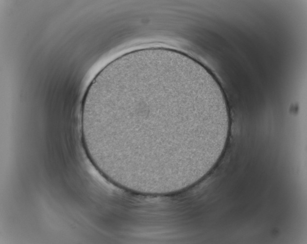 X0000113941516200910231933