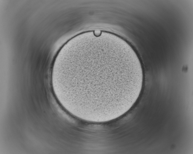 X0000113941517200910231933