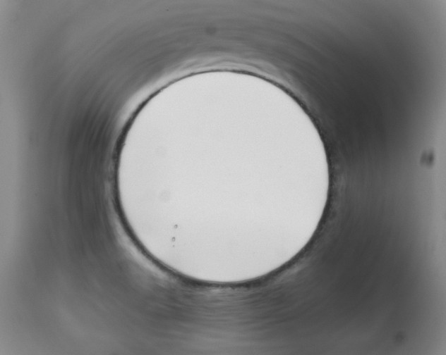X0000113941518200910231933