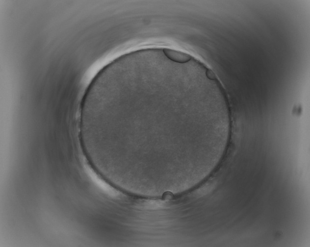 X0000113941519200910231933