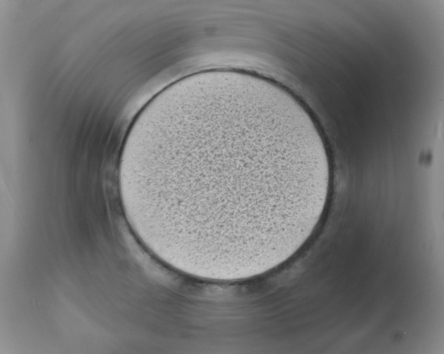 X0000113941521200910231933