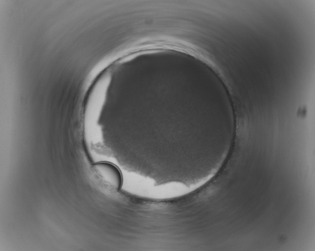 X0000113941522200910231933