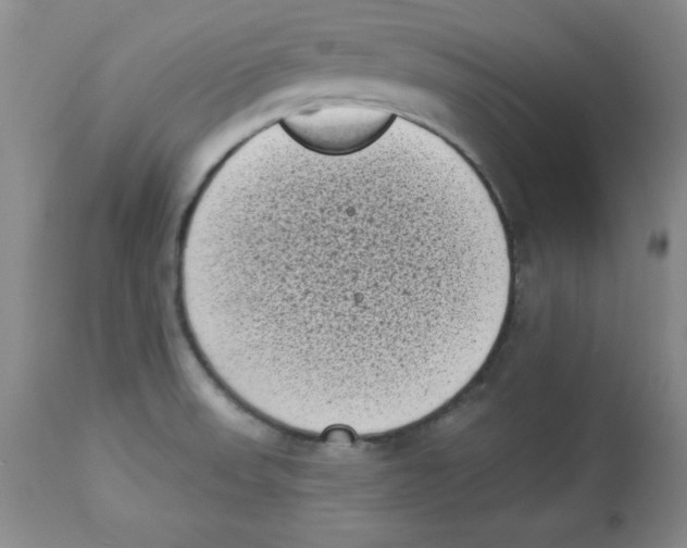 X0000113941523200910231933