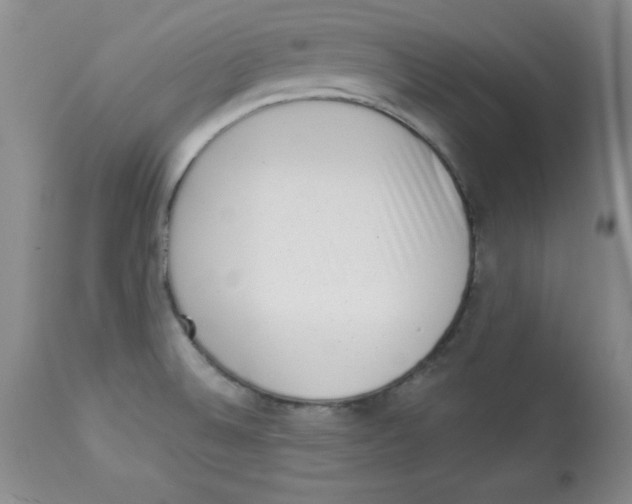 X0000113941524200910231933