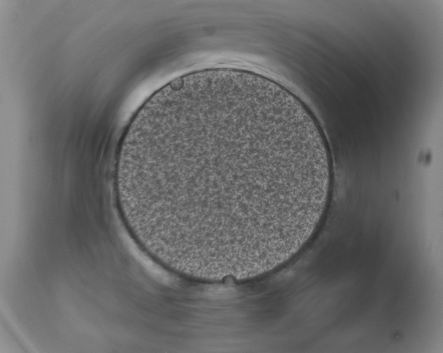 X0000113941525200910231933