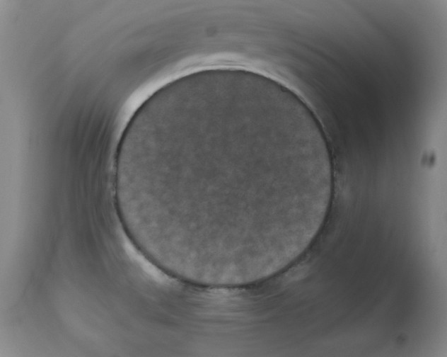 X0000113941527200910231933