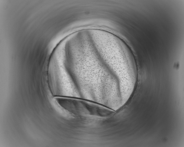 X0000113941530200910231933