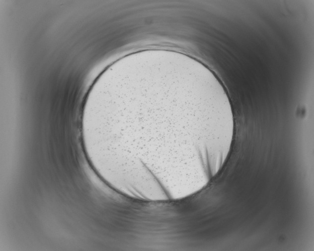 X0000113941531200910231933