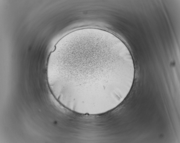 X0000113941532200910231933