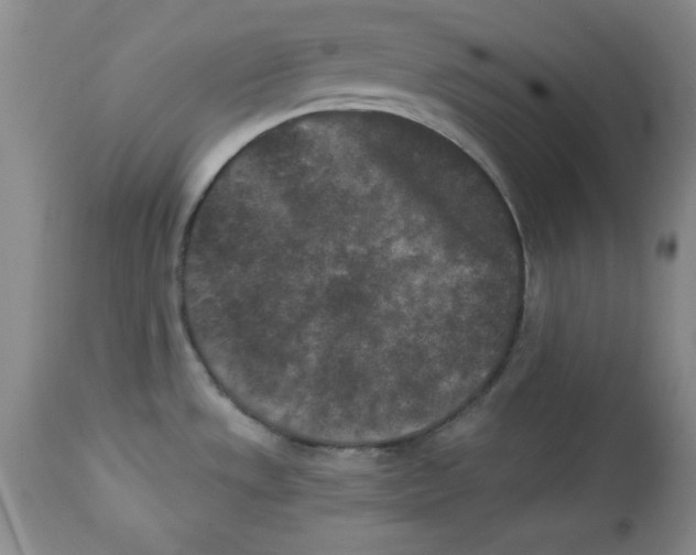 X0000113941533200910231933