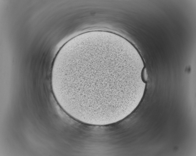 X0000113941534200910231933