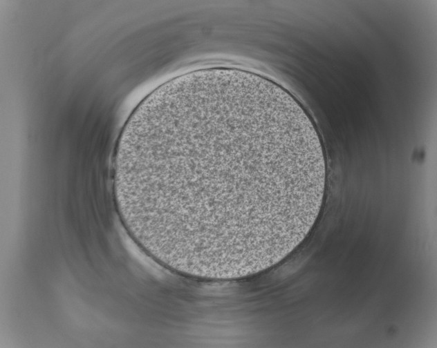 X0000113941535200910231933