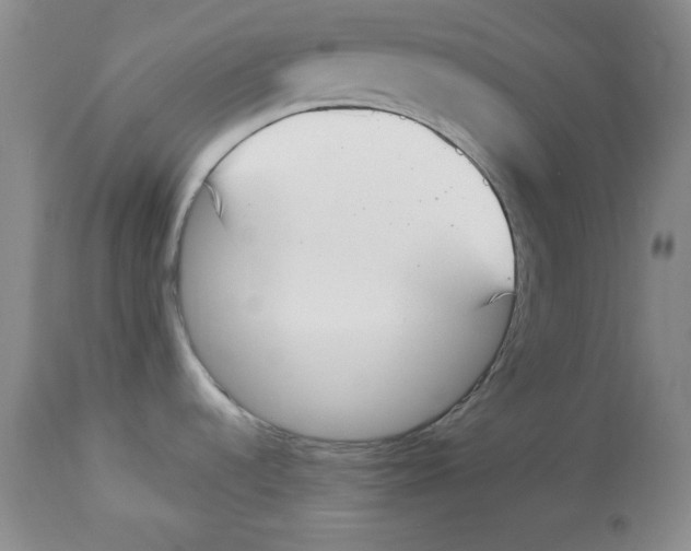 X0000113941536200910231933