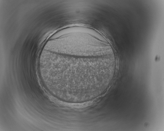 X0000113940001200911061252