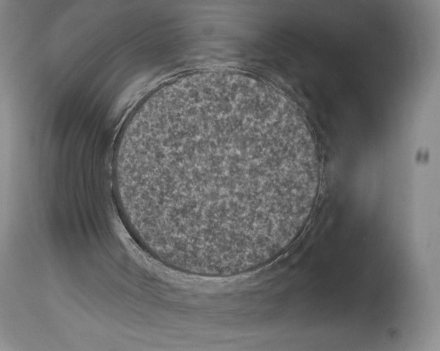 X0000113940002200911061252