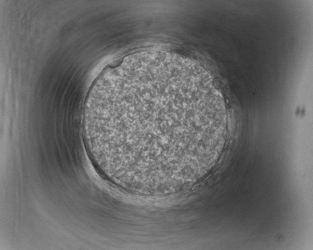 X0000113940003200911061252
