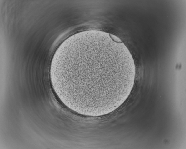 X0000113940004200911061252