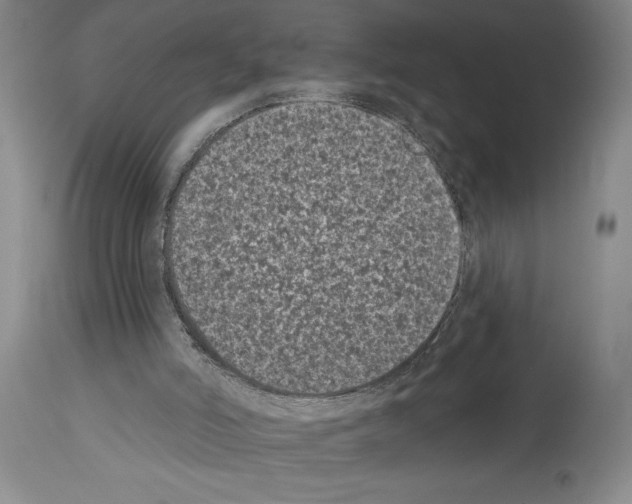 X0000113940006200911061252