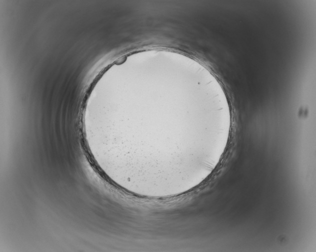 X0000113940007200911061251