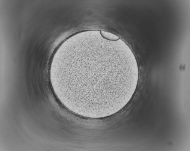 X0000113940008200911061251