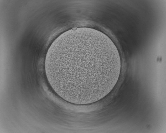 X0000113940010200911061251