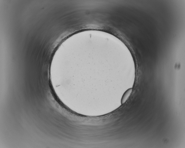 X0000113940011200911061251