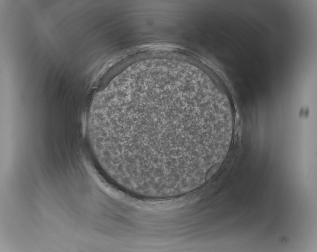 X0000113940013200911061251