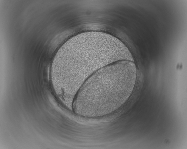 X0000113940014200911061251