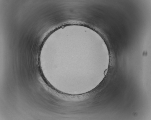 X0000113940015200911061251