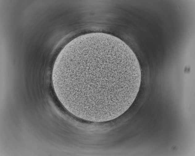 X0000113940016200911061251