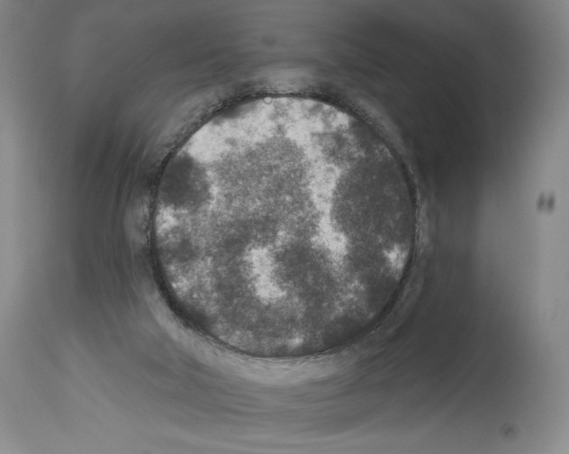 X0000113940018200911061251