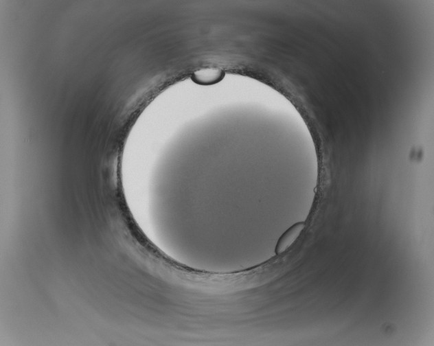 X0000113940019200911061251