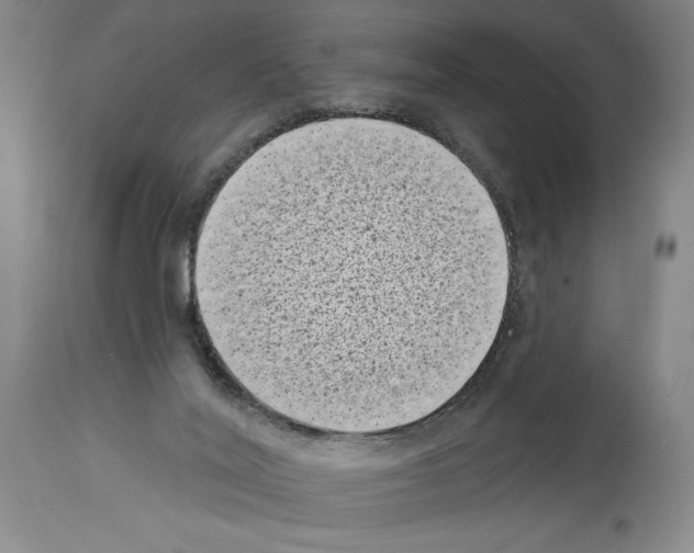 X0000113940020200911061251