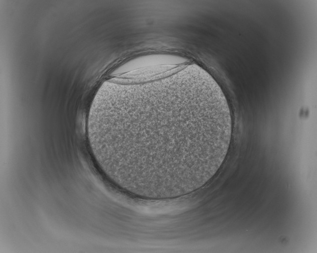 X0000113940021200911061251