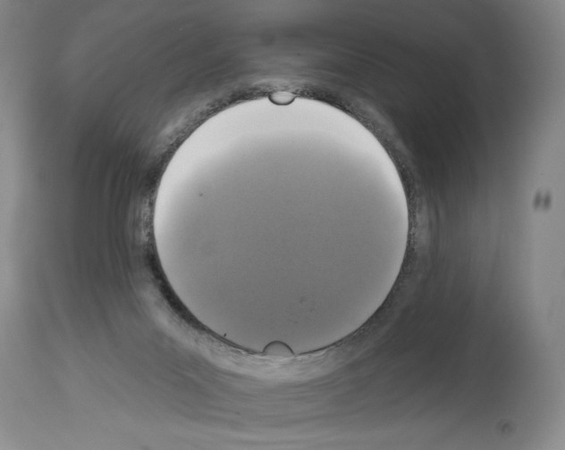 X0000113940023200911061251