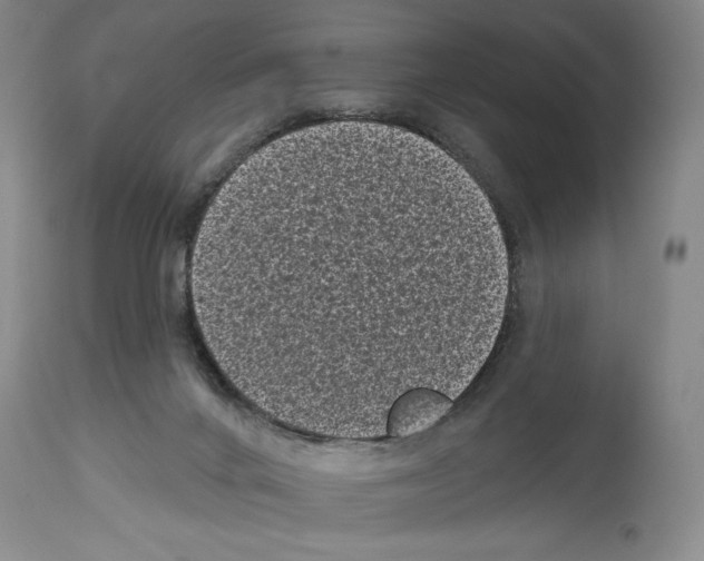 X0000113940024200911061251