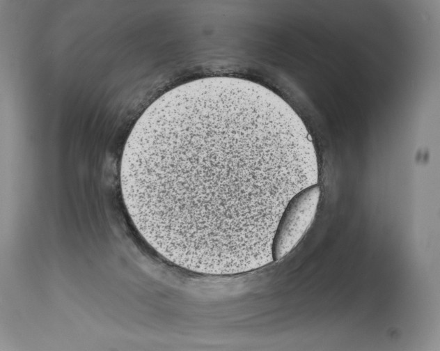 X0000113940025200911061251