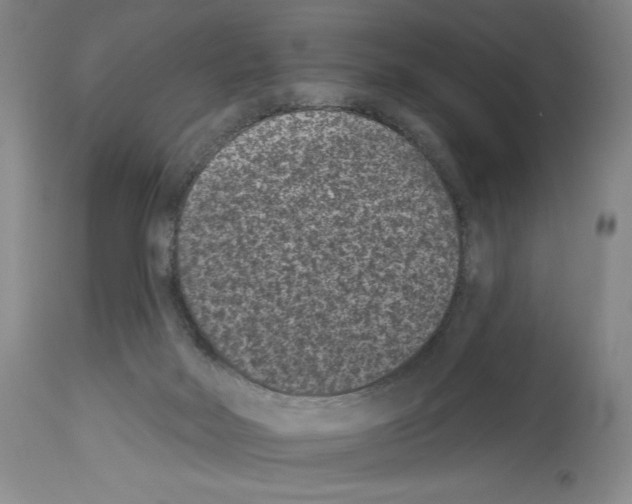 X0000113940026200911061251