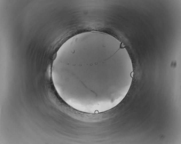 X0000113940027200911061251